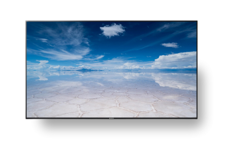 Large Format Displays